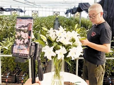 武清區(qū)梅廠鎮(zhèn) 一紙“花經(jīng)濟”做強特色種植區(qū)